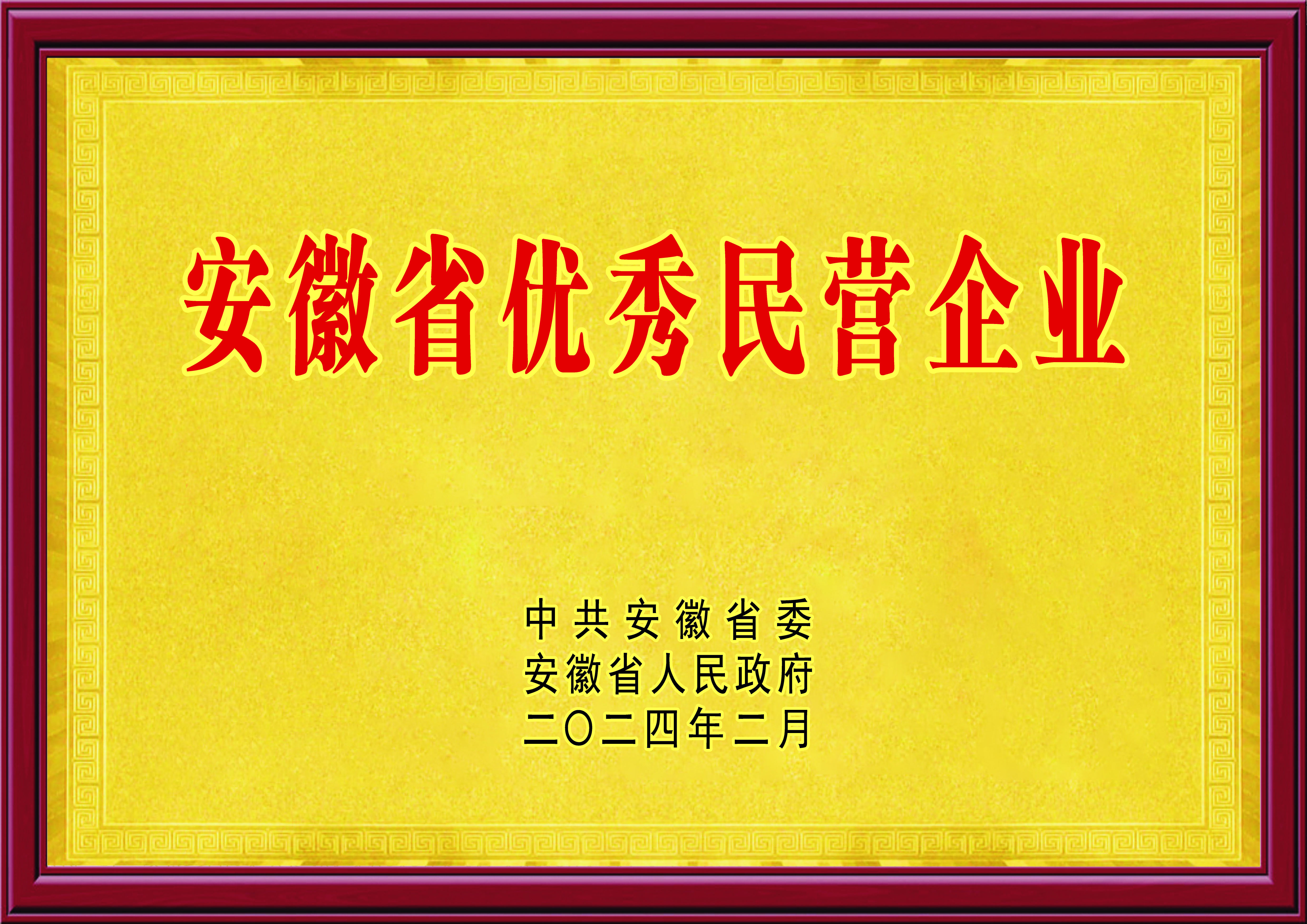 安徽省优秀民营企业